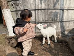 -金稼园·金平湖农家菜