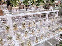 -KKV(深圳宏发大仟里店)