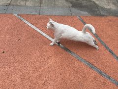 -浙江大学(玉泉校区)