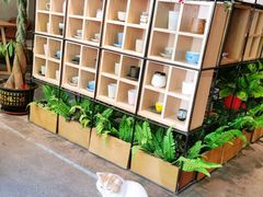 -ZM COFFEE(西安路店)