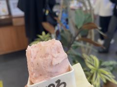 -野人先生Gelato(上海长宁龙之梦店)