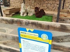 -静之湖度假区