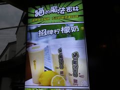 -猫的魔法密林(衣裳街店)