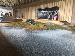 -Seesaw Coffee(朝阳大悦城店)