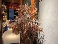 -567·密室逃脱(大良店)