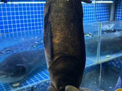 -宝荣鱼馆·临湖之宴(千岛湖店)