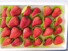 -海吉星国际农产品物流管理有限公司