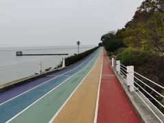-贡湖湾湿地公园