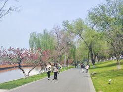 -玄武湖景区-情侣园游乐场