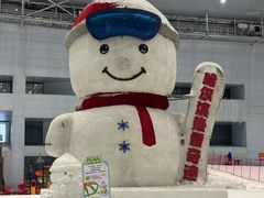 -哈尔滨热雪奇迹
