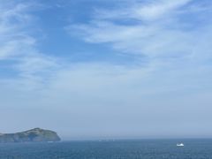 -涉地可支