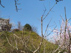 -宝鸡植物园