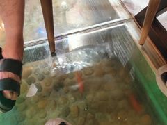 -印象江南(东栅店)