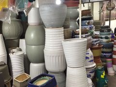 -花鸟鱼虫鲜花绿植市场(玉泉路店)