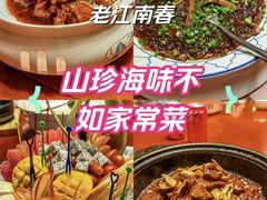 -老江南春·中国龙菜(衡山路店)