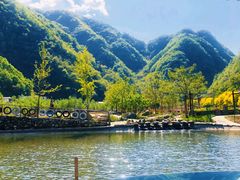 -牛背梁国家森林公园