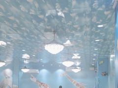 -小海豚•老字号海鲜餐厅(天涯店)