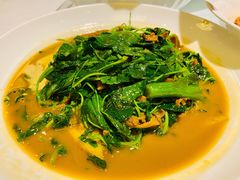 蚌肉金花菜-洋洋中餐馆·SINCE 1997(信投店)