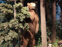 -陕西自然博物馆