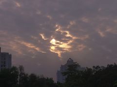 -晓港公园