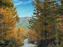 -苏木山森林公园