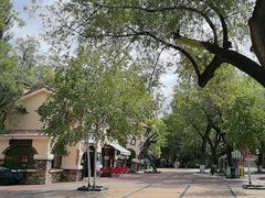 -哈尔滨文化公园