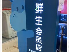 -盒马鲜生(大成店)