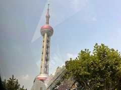 -上海海洋水族馆