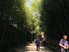 -竹泉村旅游度假区