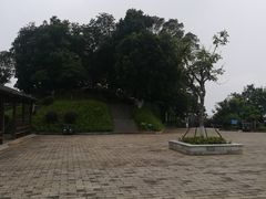 -广州市帽峰山景区