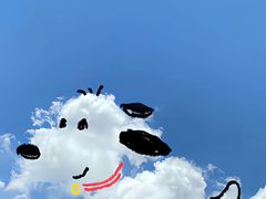 -大青树咖啡(大理古城店)