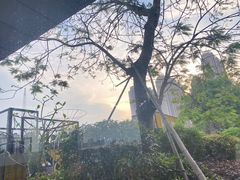 -东南里湖景餐厅·新闽菜(浦西万达店)