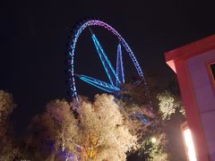 -哈尔滨文化公园