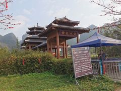 -靖西鹅泉风景区