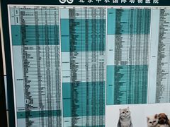 -中农国际动物医院24小时·猫科·骨科·急重症中心