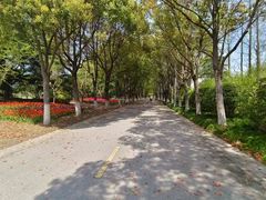 -上海鲜花港