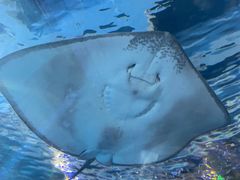 -太平洋海底世界