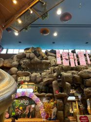 点击看大图 -卡通尼·Safari非洲探索乐园·生日会(金桥国际商业广场店)