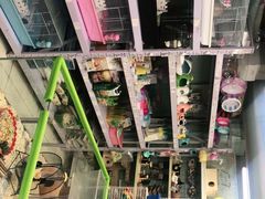 -钓仓鼠(洋桥北里小区店)