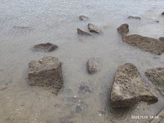 -冠头岭