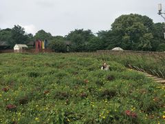 -保利石象湖景区