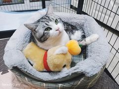 -1013 PET SHOP 宠物商店(近铁城市广场店)