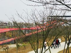 -绵阳盛世樱花悠乐谷