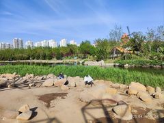 -绿岛公园(滨海新区)