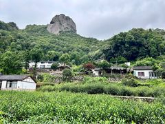 -雁荡山大龙湫景区