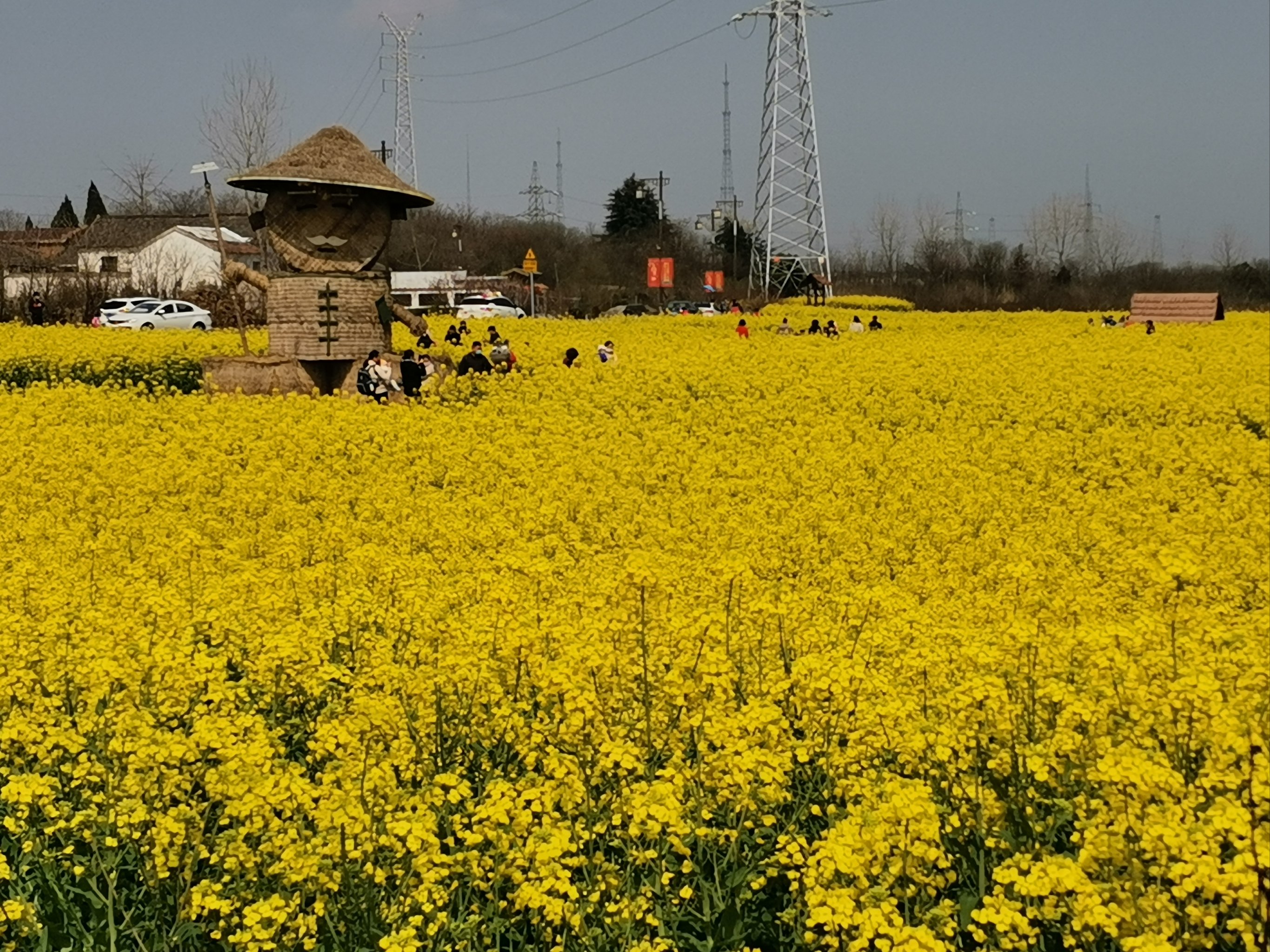 南京花海风景区图片