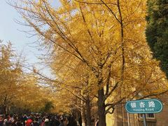 -辽宁大学(崇山校区)