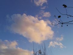 -重庆德庄火锅(体育中心店)