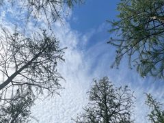 -泗洪洪泽湖湿地景区