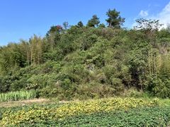 -小乡小镇·传承桐庐土菜·老板亲自烧的菜